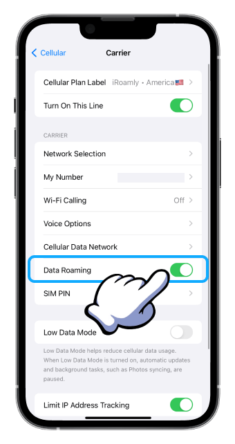 iOS Cellular Carrier Data Roaming On