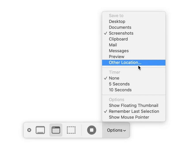 Macos Mojave Or Newer Screenshot Panel Other Options 